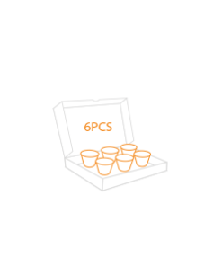 6 Piece Box - Egg Tarts